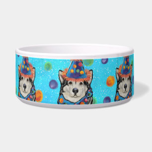 Comedero Alaskan Malamute