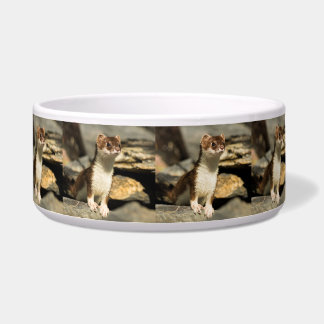 Comedero Alert Weasel
