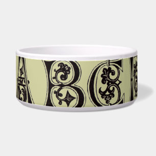 Comedero Alphabet Pet Bowl del siglo XI