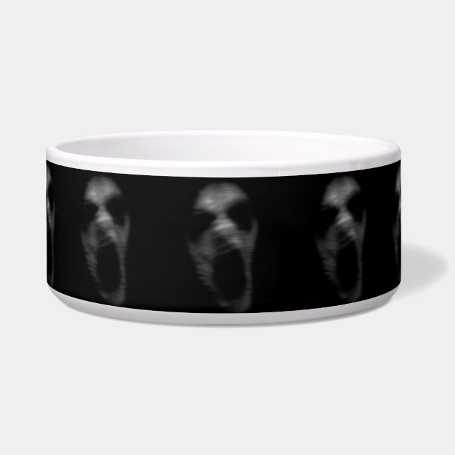 Comedero Alteraciones mentales de caída (Frente)