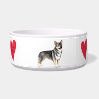 Amo mi Vallhund Sueco