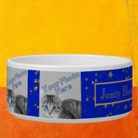 Añadir 6 fotos y nombre Mascota Blue Gold Pet Bowl