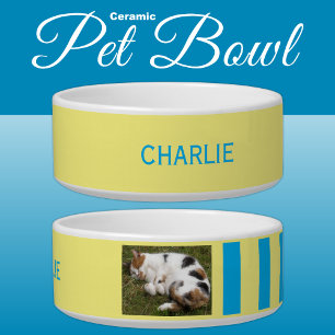 Comedero Añadir foto y nombre azul y amarillo