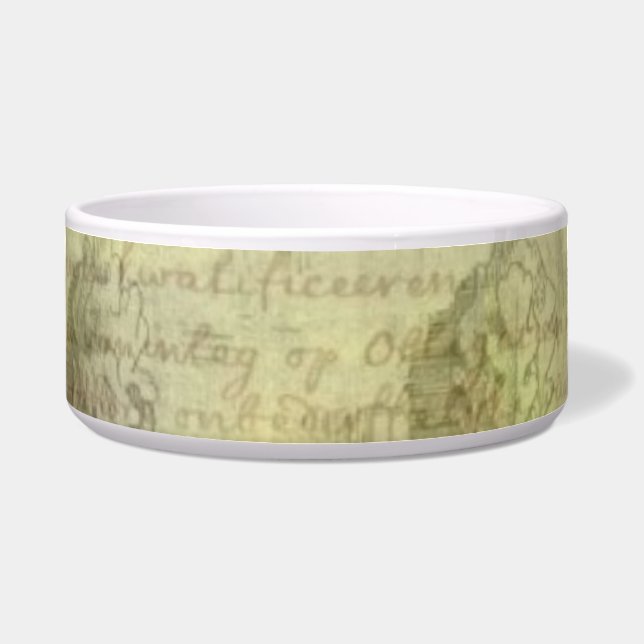 Comedero Arches Pet Bowl (Frente)