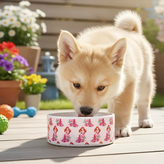 Comedero Ariel (Subido por el creador)