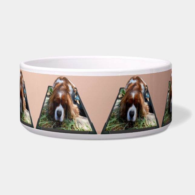 Comedero Arte emergente del Cavalier Spaniel,  (Frente)