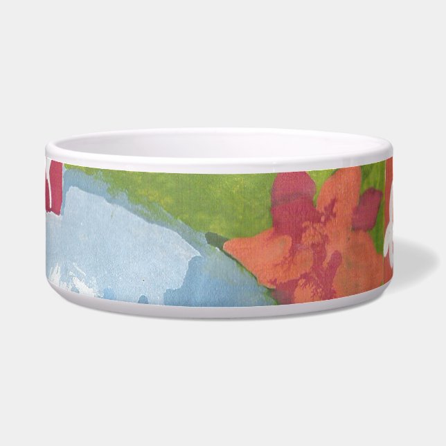 Comedero Arte popular de observación de AnyaC (Frente)