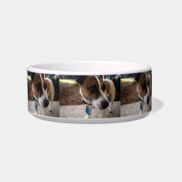 Comedero Atracción de Fox Terrier Pequeño Mascota Cerámico