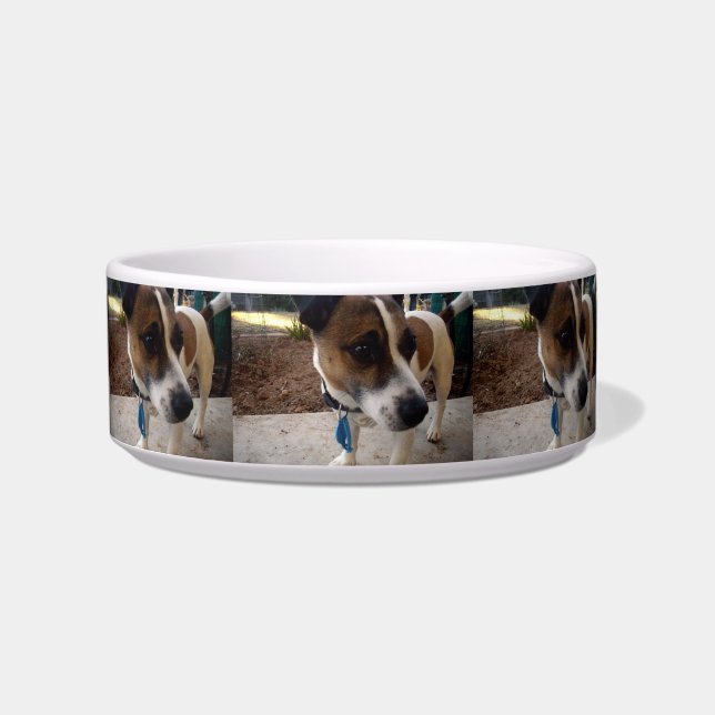 Comedero Atracción de Fox Terrier Pequeño Mascota Cerámico (Frente)