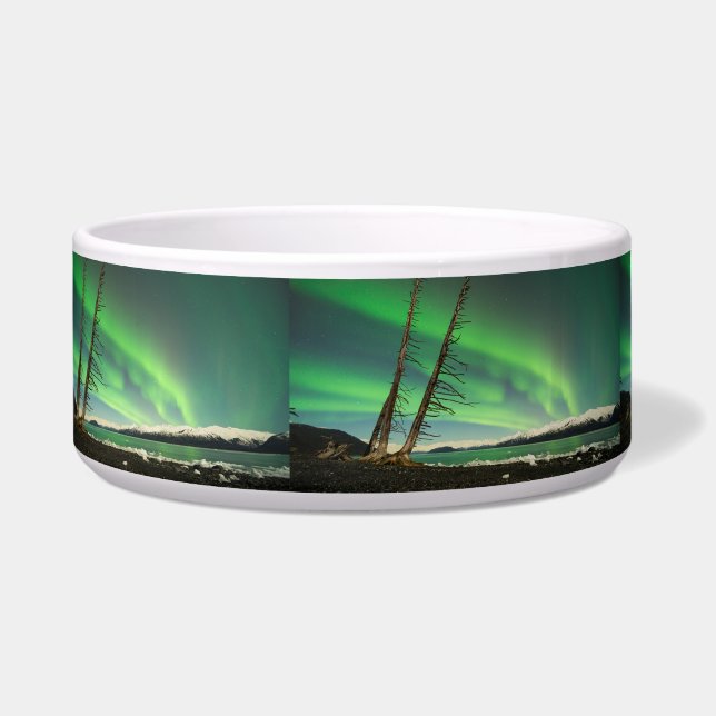 Comedero Aurora del árbol de inclinación (Izquierda)