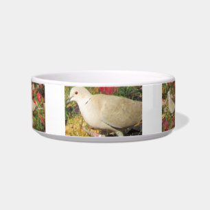 Comedero Autumn Dove