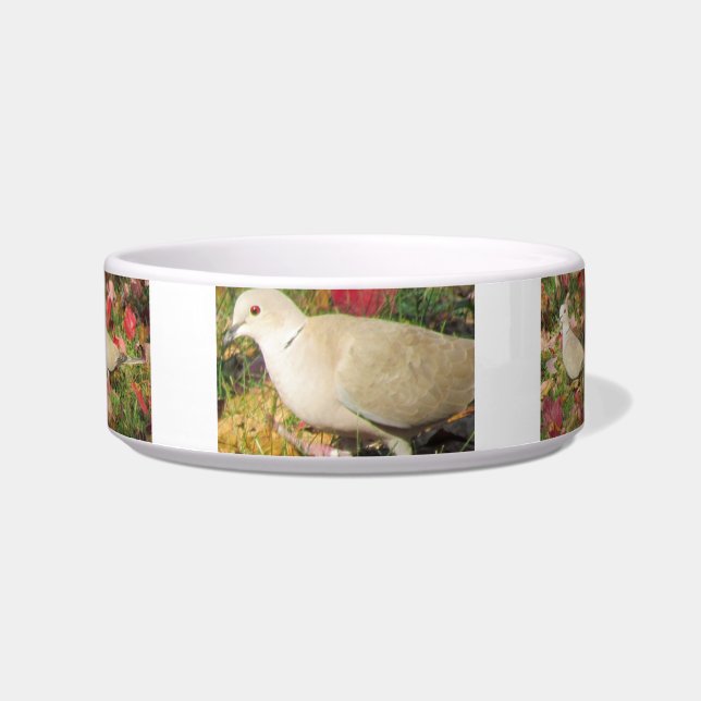 Comedero Autumn Dove (Frente)