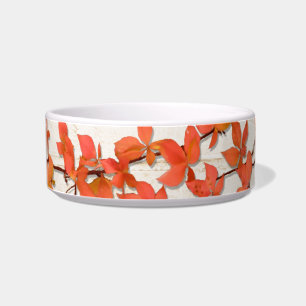 Comedero Autumn Vine