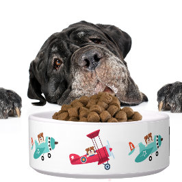 Comedero Aviones divertidos para perros, curiosos para los 