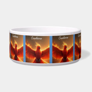 Comedero Banda para el cabello