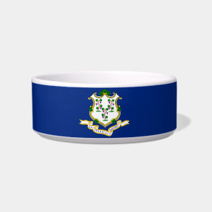 Comedero bandera de Connecticut-Sello