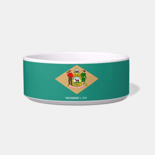Comedero bandera de Delaware-Sello (Frente)