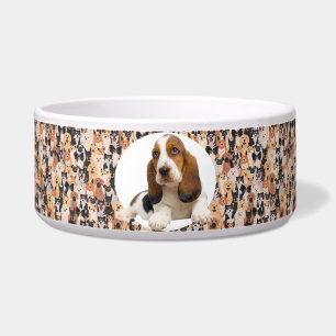 Comedero Basset Hound Personaliza el Tazón de Perro con Nom