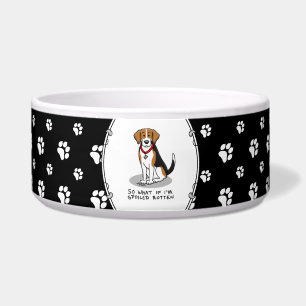 Comedero Beagle Echado a Perder (tri color 3) Perro Diverti