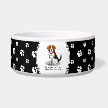 Beagle Mimado Podrido (tri color 3) Perro Divertid