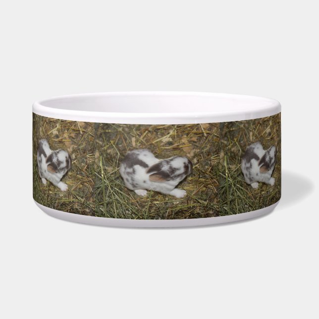 Comedero Bebés (Frente)