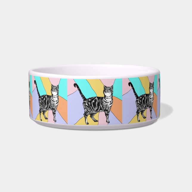 Comedero Bebida de Mascota Pastel con felpa de Tabby (Frente)