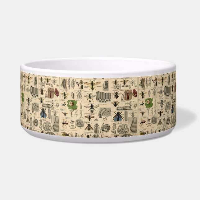 Comedero Bee Insect Bug Wasp Naturaleza Abejas Pintura (Frente)