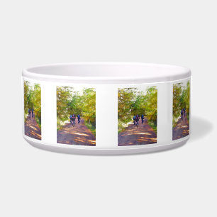 COMEDERO BICICLETA DE MONTAÑA