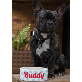 Comedero Blue White Checkpoint Dog Puppy Cat Nombre Comida 