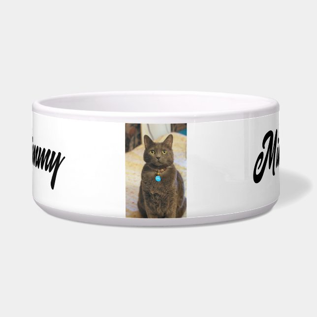 Comedero Bobalicón (Frente)