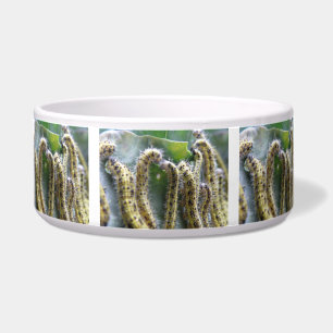 Comedero Bolas blancas de col con hambre