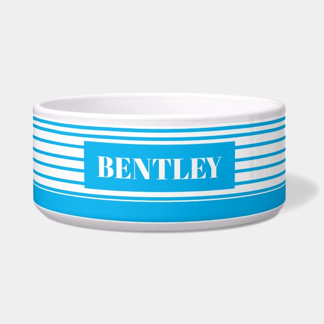 Comedero Bolas de perro y gato personalizadas: franjas azul (Frente)