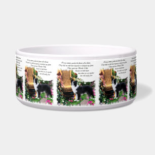 Comedero Bolera de Perro de Collie Fronterizo