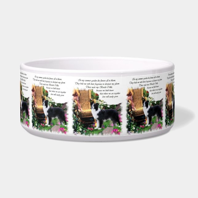 Comedero Bolera de Perro de Collie Fronterizo (Frente)