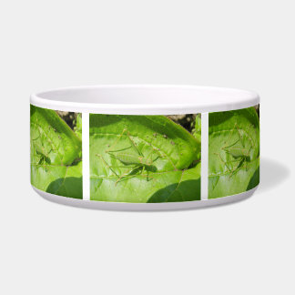 Comedero Bolera de perros de camuflaje verde de cricket