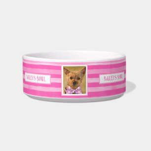 Comedero Bonito de amantes de mascotas en franjas rosadas