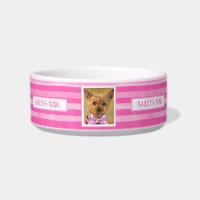 Bonito de amantes de mascotas en franjas rosadas