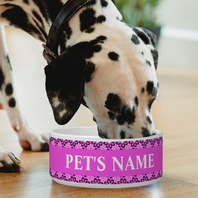 Comedero Bonito Personalizada En Bolas De Mascotas Rosadas (Subido por el creador)