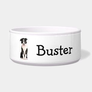 Comedero Border collie