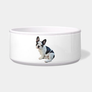 Comedero Boston Terrier