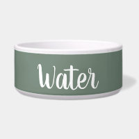 Bowl de agua del Mascota verde profundo