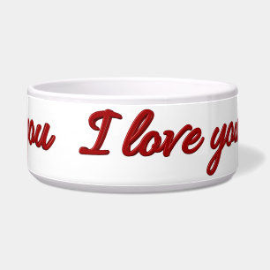 Comedero Bowl de mascotas para el corazón pintado