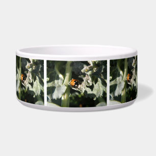 Comedero British 7 Spot Ladybug Dog Bowl