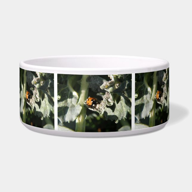 Comedero British 7 Spot Ladybug Dog Bowl (Frente)