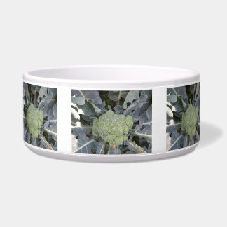 Comedero Broccoli Dog Bowl