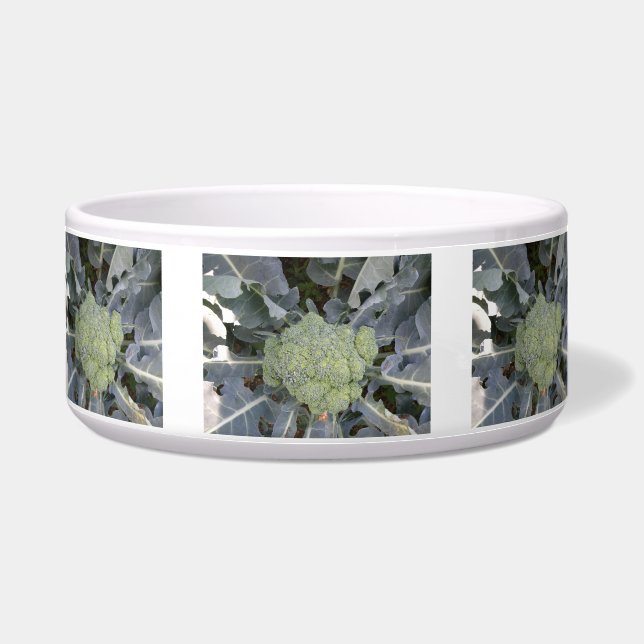 Comedero Broccoli Dog Bowl (Frente)