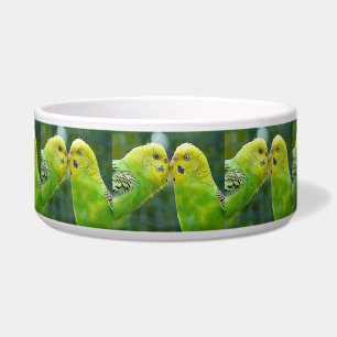 Comedero Budgie_2015_0604