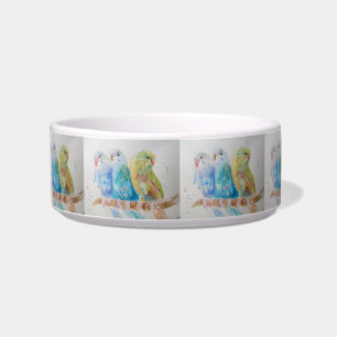 Comedero Bugie budgerigars pájaros Bonito Bird Bebe Bowl
