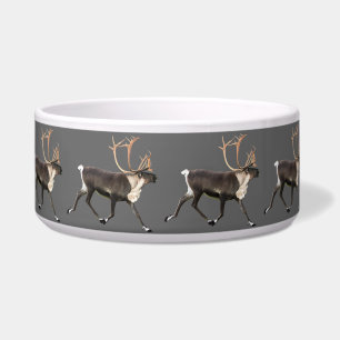 Comedero Bull Caribou