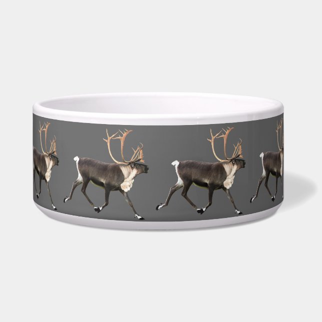 Comedero Bull Caribou (Derecha)